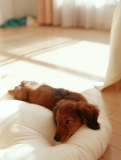 Company�C���[�W